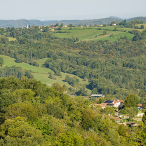 18b0e859-acdf-4be4-8277-96297c5eae79