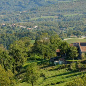 7e54544b-89df-46de-9d27-132d29d1bb0f