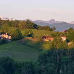 ee5a440e-91fd-467b-8cb1-4a9225fc7390