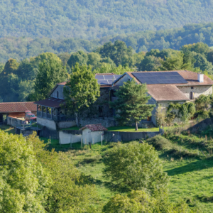 fd3b77ee-0ebc-4ace-9276-5c34492c1fec